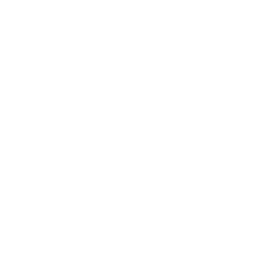 Slow Fire Flava